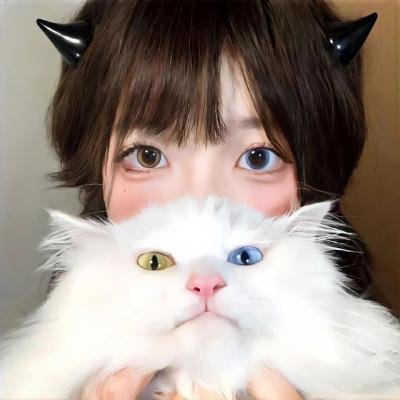 新版佐罗